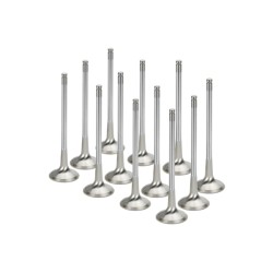 AEVI-1103-8 – Supertech Exhaust Valve Kit – VAG 1.8 20V – 29.90mm STD (Inconel)